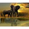 Diamond Painting Animal Elephant Cross Stitch Diamond Embroidered Rhinestone Diamond Pattern