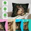 4 Pcs Rabbit Photography Single-Sided Printed Pillowcase Cushion Cover,Suitable For Living Room,Bedroom,Car Decoration