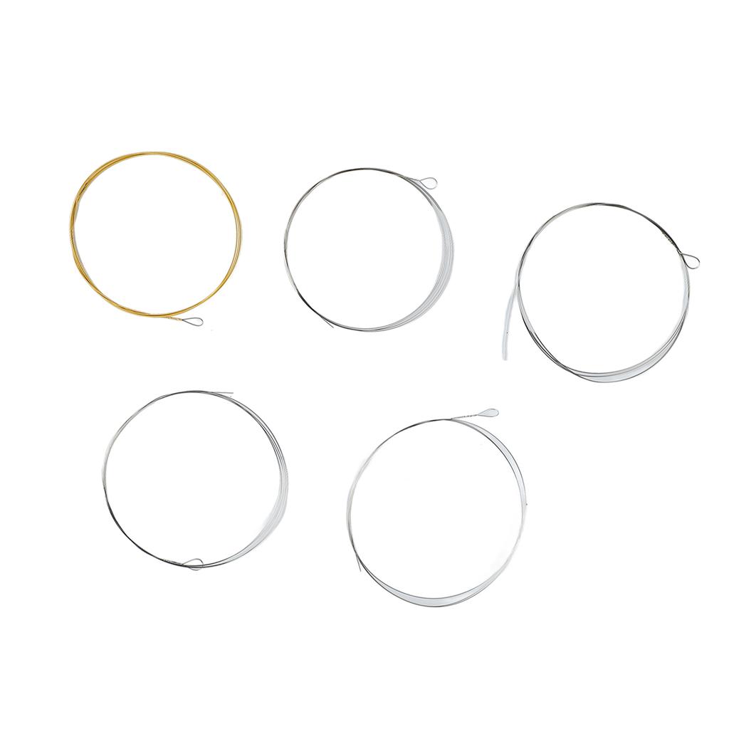 Струны для 5-струнного банджо из нержавеющей стали, с полным резонансом, толстые струны для высоких нот, замена для выступлений