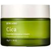 Cica Essencial Intensive Cream 50 г - Крем с центеллой азиатской для лица 50 г