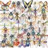 50 Transparent Ins Insect Sticker Pack Waterproof Transparent PET Hand Account Decorative Guitar Notebook