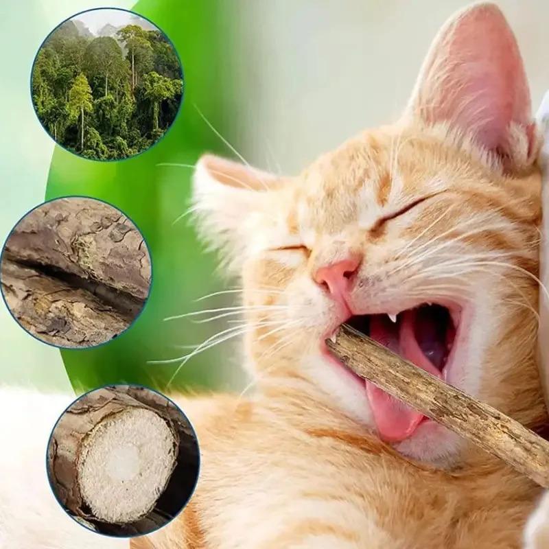 10Pcs Natural Catnip Pet Cat Molar Toothpaste Stick Cat Kitten Chew Toys Pet Supplies Cat Snacks Sticks Healthy Pet Accessories
