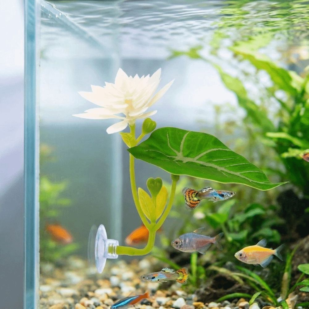 with Suction Cup Fighting Fish Resting Leaves Betta Spawning Bed Betta Fish Tank