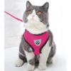 Lightweight, Pressure-Free, Breathable Harness for Dogs and Cats with Leash S