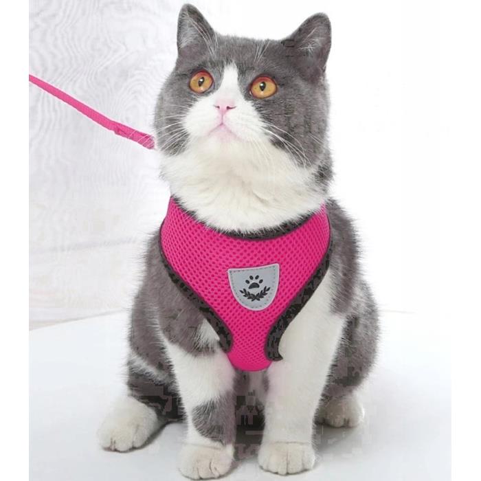 Lightweight, Pressure-Free, Breathable Harness for Dogs and Cats with Leash S