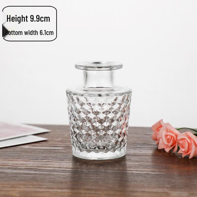 Small French Retro Glass Hydroponic Vase for Home Decor