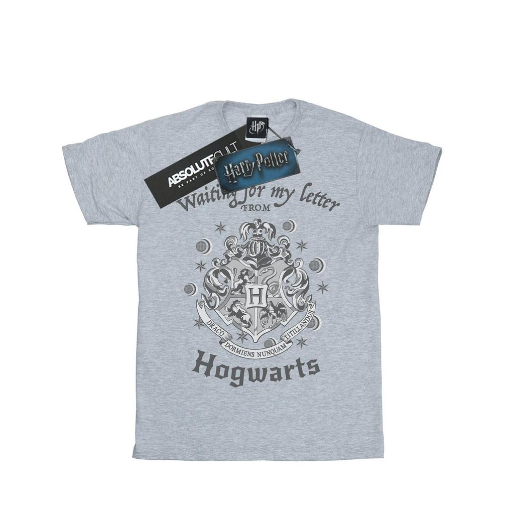 Harry Potter Mens Hogwarts Waiting For My Letter T-Shirt