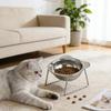 Приподнятые миски для кошек, наклонная миска для кошачьего корма с защитой шеи, небьющаяся, из нержавеющей стали 304, приподнятая на 15°, товары для домашних животных для щенков и кошек