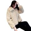 Lamb Wool Imitation Fur Jacket Autumn and Winter Fashion Warm Short Wool Sweater Casual Socialite Small