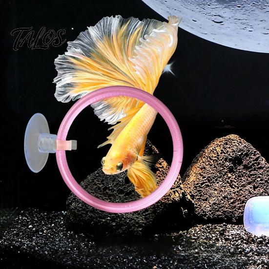 Betta Fish Training Loop 1/3Pcs Exercise Ring with Suction Cup, Feeding Ring, Tank Enrichment Toy, Aquarium Accessories Pet Boredom Relief Toy