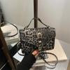 Small Square Bag Leopard Print Bag Fashionable Small Bag Simple 2025 New Trend Shoulder Bag Messenger Bag Casual Women