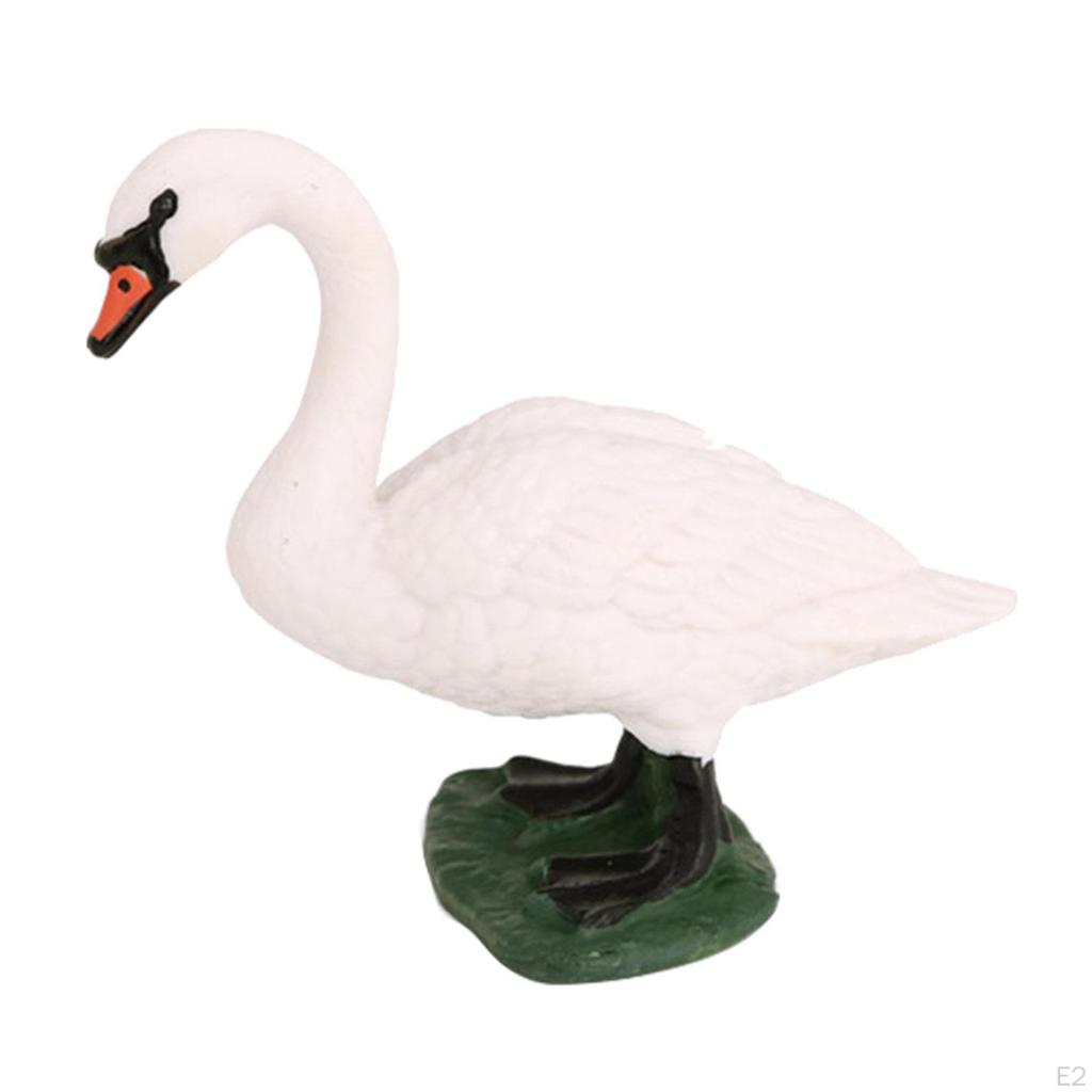 Animal Life Cycle Salmon Model Toy Children Kids Toys