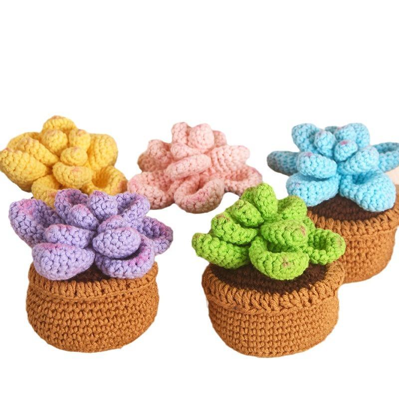 Ручная работа Эмоциональная поддержка Вязаное крючком растение Настольное украшение Позитивные вязаные крючком куклы-суккуленты Домашнее украшение комнаты Рождественский подарок