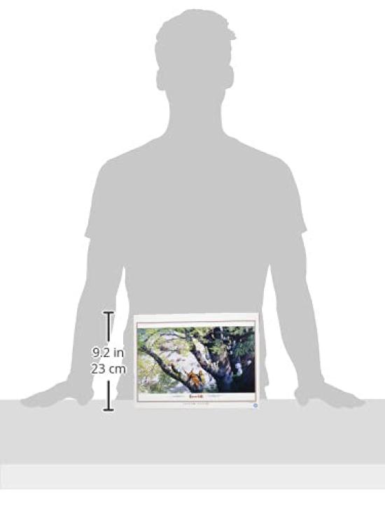 ENSKY Princess Mononoke Kodama Forest 50 X 75cm Ghibli Jigsaw Puzzle 1000 Pieces JIGSAW PUZZLE 1000-270