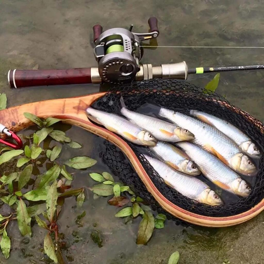 1/3 шт., приманка для ловли насекомых, реалистичная приманка-нимфа Scud Fly для ловли форели, искусственная приманка для насекомых, приманка для рыбалки Scud Worm