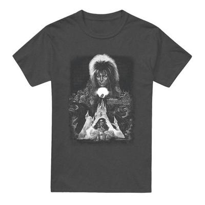 Унисекс Взрослая футболка Labyrinth Замок