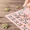 Anti-static False Eyelash Tweezers Lashes Extension Tweezer  Miniature Scene Stickers