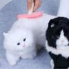 Pink and White Small Pet Comb Silicone Pet Silicone Comb Rabbit Fur Brush  Pet Home