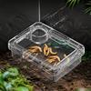 Reptile Lizards Geckos Feeding Bowls Prevent Tenebrio Molitor and Blaptica Dubia Transparent Trough Feeder Anti Overturning