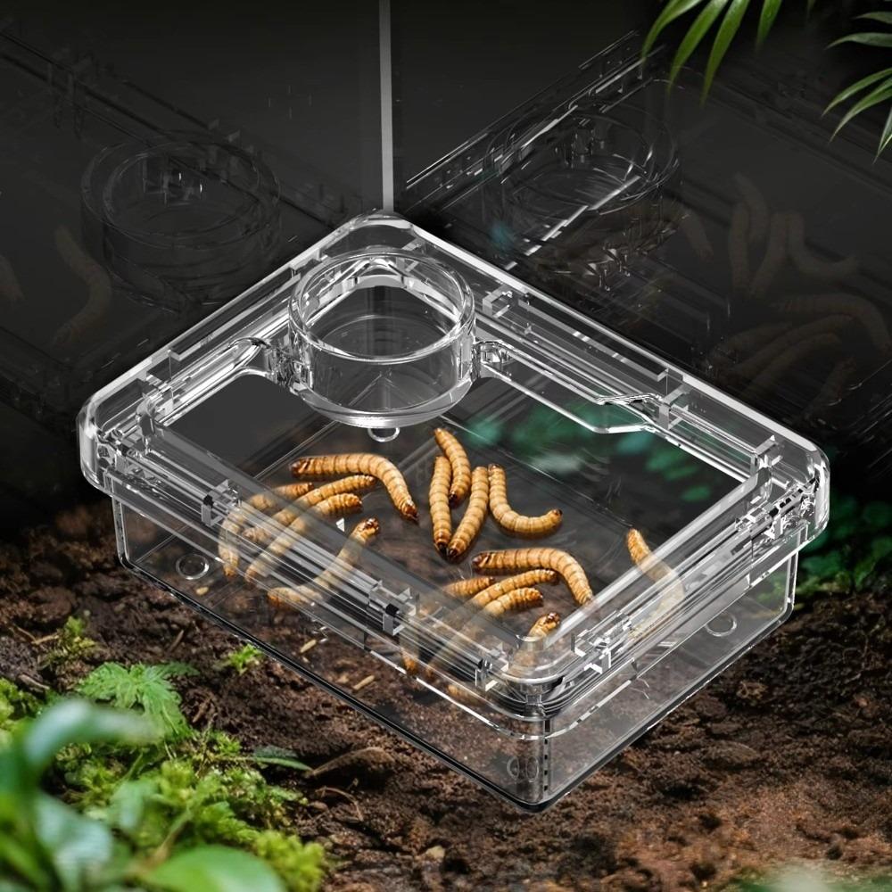 Reptile Lizards Geckos Feeding Bowls Prevent Tenebrio Molitor and Blaptica Dubia Transparent Trough Feeder Anti Overturning
