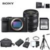 Sony Alpha 7C II Full-frame Mirrorless Camera (CN version)