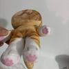 20 см Милые реалистичные плюшевые игрушки-кошки со скелетом Кавайная мягкая игрушка Мультяшная кукла для украшения комнаты Успокаивающий компаньон Подарок ребенку