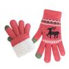 Fleece Lining Winter Gloves Cold-proof Knitted Gloves Fashion Warm Gloves  Women Men