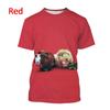 Men's Casual T-shirt Women Cute T-shirt Comfortable Couples Round 3D Printed Animal Guinea Pig Cute Printed T-shirt Summer