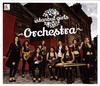 CD ORCHESTRA GIRLS ISTANBUL - Стамбульский женский оркестр AYSI9017 Япония ObiMusic Другое Б/У