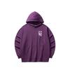 Anta National Games Lifestyle Hoodie Sweatshirt Unisex Hoodies Gray Grape-Purple 172548705R-2