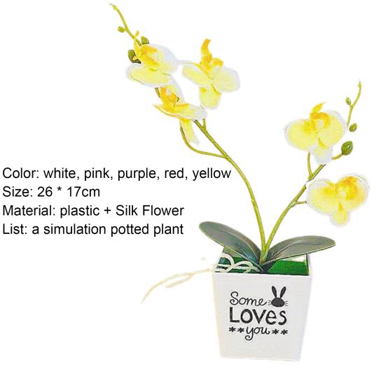 Мода Моделирование Цветок Декоративный Нежный Привлекательный