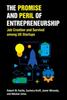 The The Promise and Peril of Entrepreneurship : Job Creation and Survival Among US Startups Book