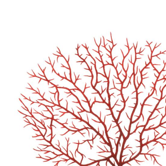 Lifelike Coral Decorative Reusable Practical Artificial Peacock Coral Tree for Fishes