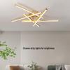 2025 Modern Luxury LED Ceiling Light for Living Room & Bedroom