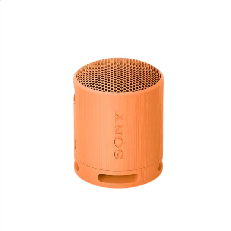 Sony Портативная Bluetooth-колонка SRS-XB100 (Китайская версия)