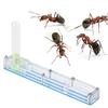 Acrylic Ant Breeding House Nest Formicarium Display Box with Water Tower Moisturizingblue