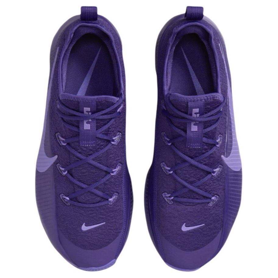 Nike Кроссовки LeBron TR1 "Purple Rain" FJ6151-500