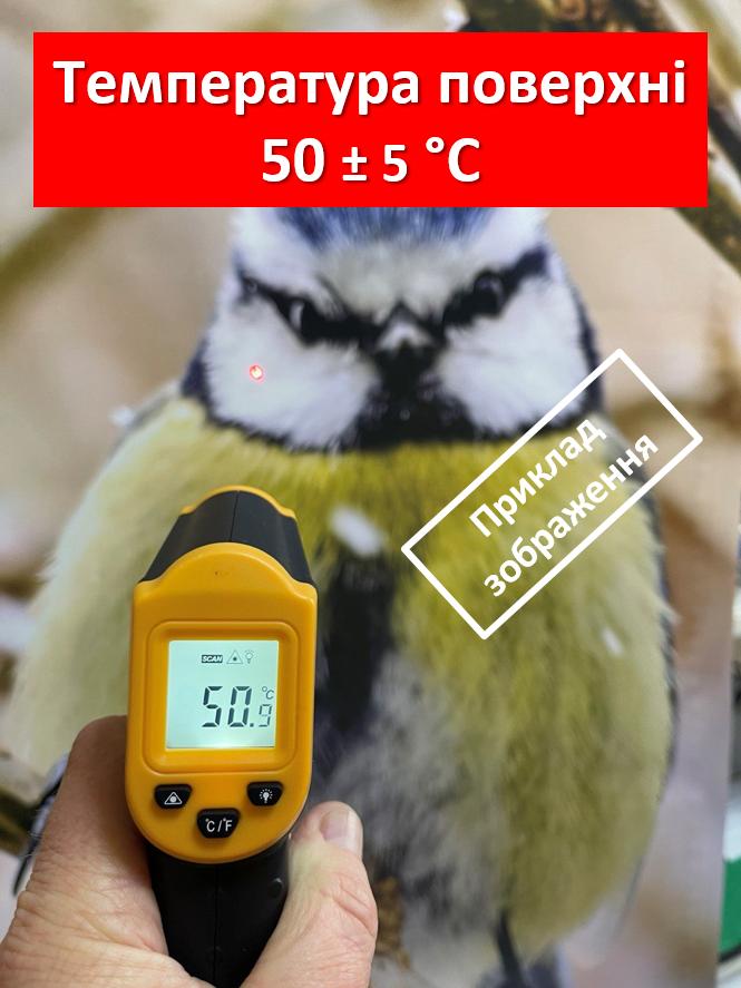 Picture-heater "Flowers In the Mountains" On Monocrystal Film 105x60 Cm 300 W