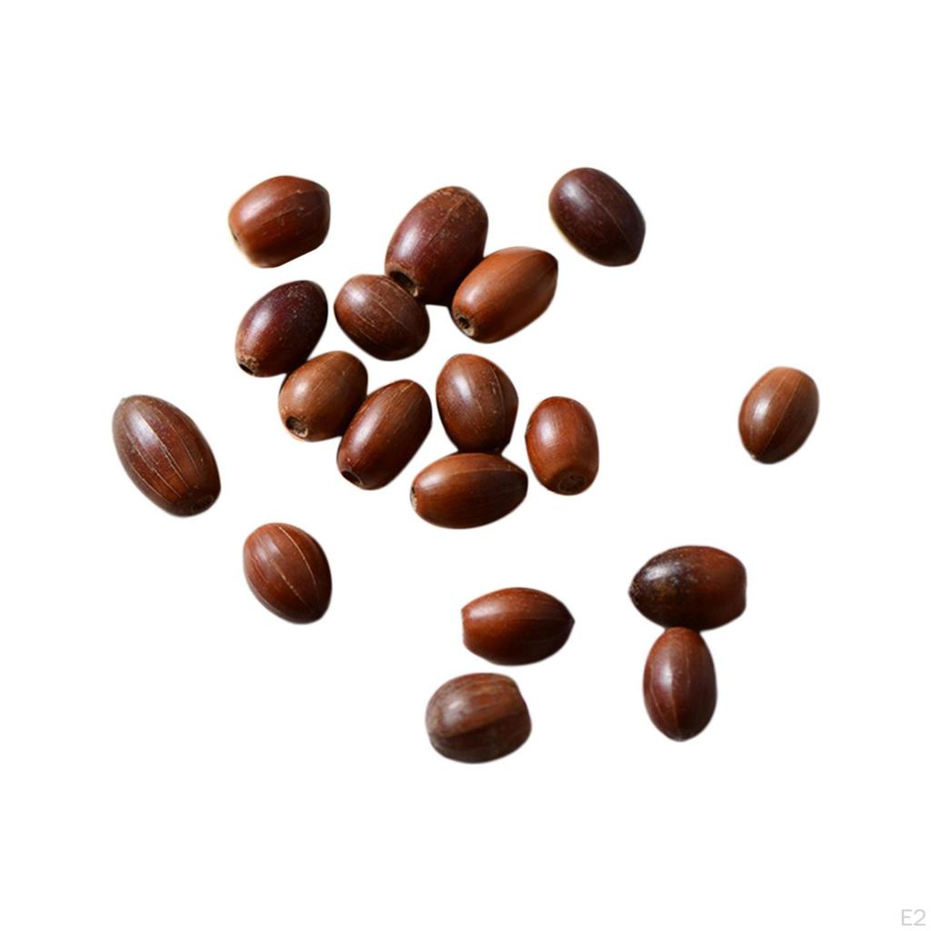 100 Tassels Caps Decorative for Crafts Vase Fillers Home Kitchen Garland Fall Embellishments