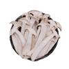 Dried Yunnan Snow Mountain Matsutake Mushrooms - Perfect for Soups and Cooking