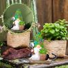 Succulent Dwarf Gnomes Fall Decorations For Garden Gnomes Statues Decorations For Yard
