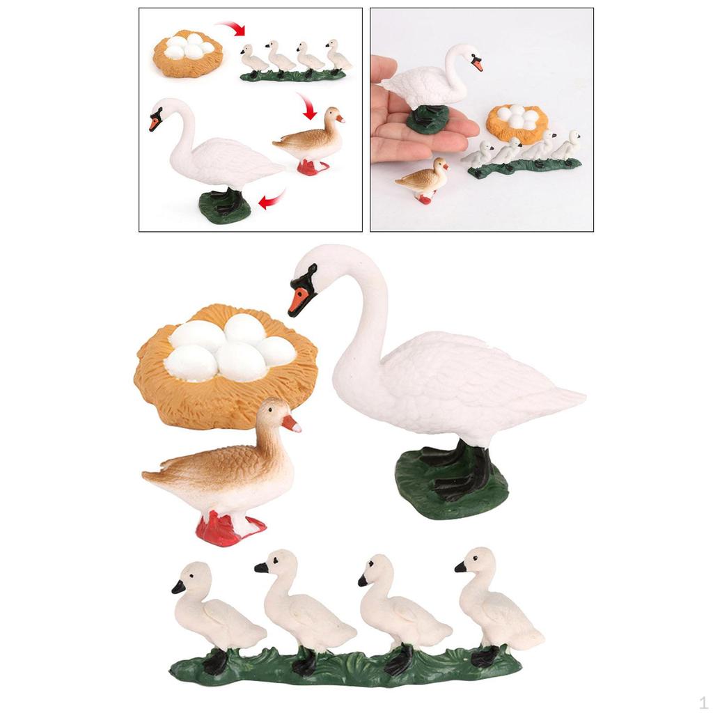 Animal Life Cycle Salmon Model Toy Children Kids Toys