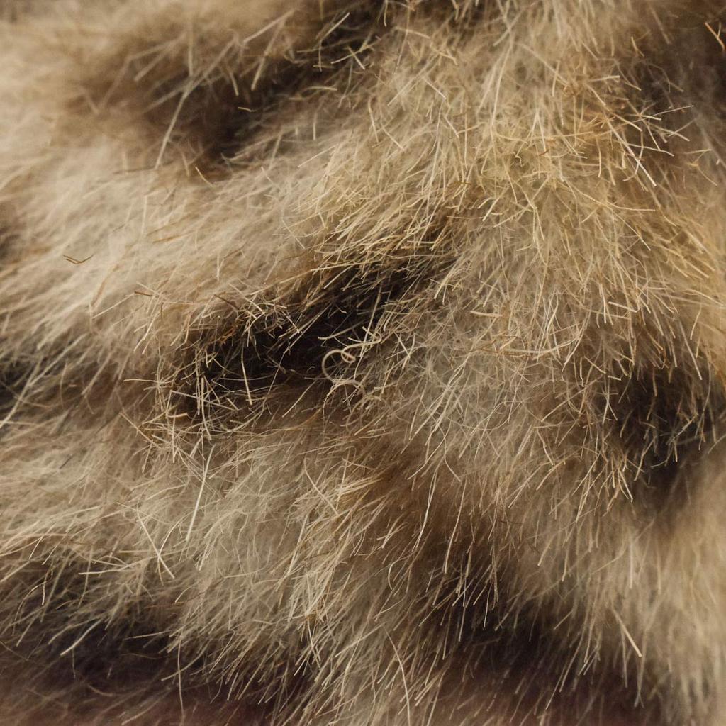 BH7844 HANSA Бенгальская кошка 35