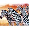 Полный 5D Diy Алмазная картина Pentium Зебра Вышивка Крестом Главная Декор Ручной подарок