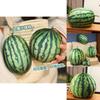 Очаровательная 3D плюшевая игрушка Арбуз Мягкая подушка для декора детской комнаты и подарков