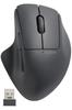 ELECOM Mouse Wireless Mouse SHELLPHA Wireless Quiet Antibacterial 5 Buttons Tilt Wheel Black 2.4GHz + M-SH30DBSKBK