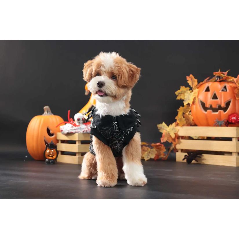 2026 New Pet Halloween Costume Decorations Clothes Black Spider Web Outfits Cat and Dog Cosplay Costumes Pet Supplies