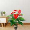 35/50CM Artificial Red Palm Plant Lifelike Fake Plants  Living Room Bedroom Decor