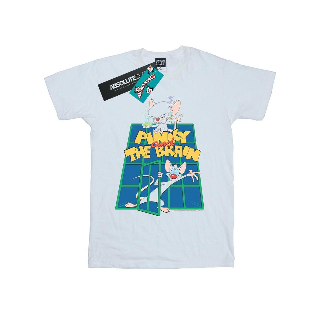 Animaniacs Womens/Ladies Pinky And The Brain Laboratory Cotton Boyfriend T-Shirt