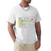 Accesstocommunicationeverywhere Tshirt Anime T Shirts Oversize Tshirt